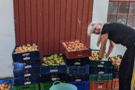 Kilde: nordstrandsgaard.dk