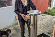 Kilde: nordstrandsgaard.dk