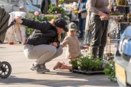 Kilde: naestvedcity.dk