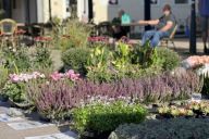Kilde: naestvedcity.dk