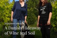 Kilde: hideawayvingaard.dk