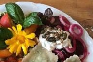 Kilde: hideawayvingaard.dk