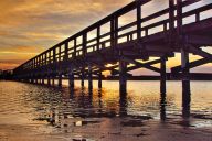Kilde: visitlolland-falster.dk