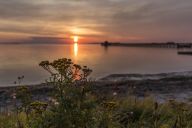 Kilde: visitlolland-falster.dk
